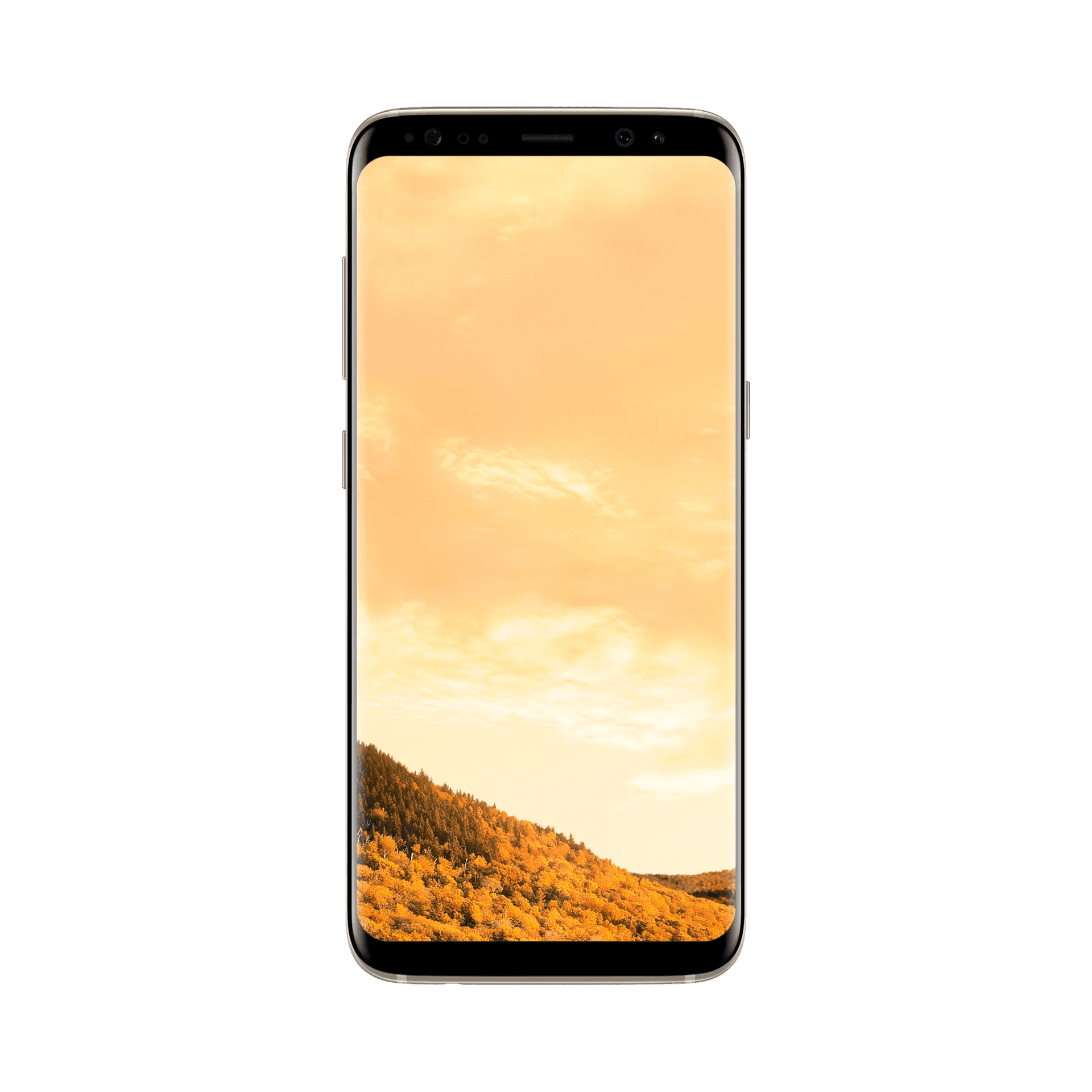 Samsung Galaxy S8 Plus - 64 GB - Altın