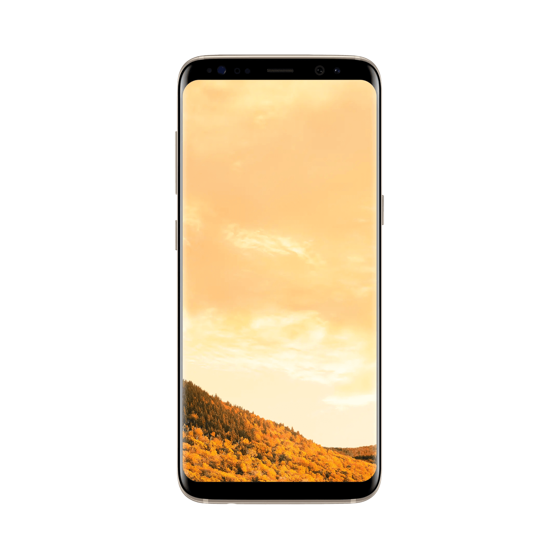 Samsung Galaxy S8 - 64 GB - akçaağaç Altını