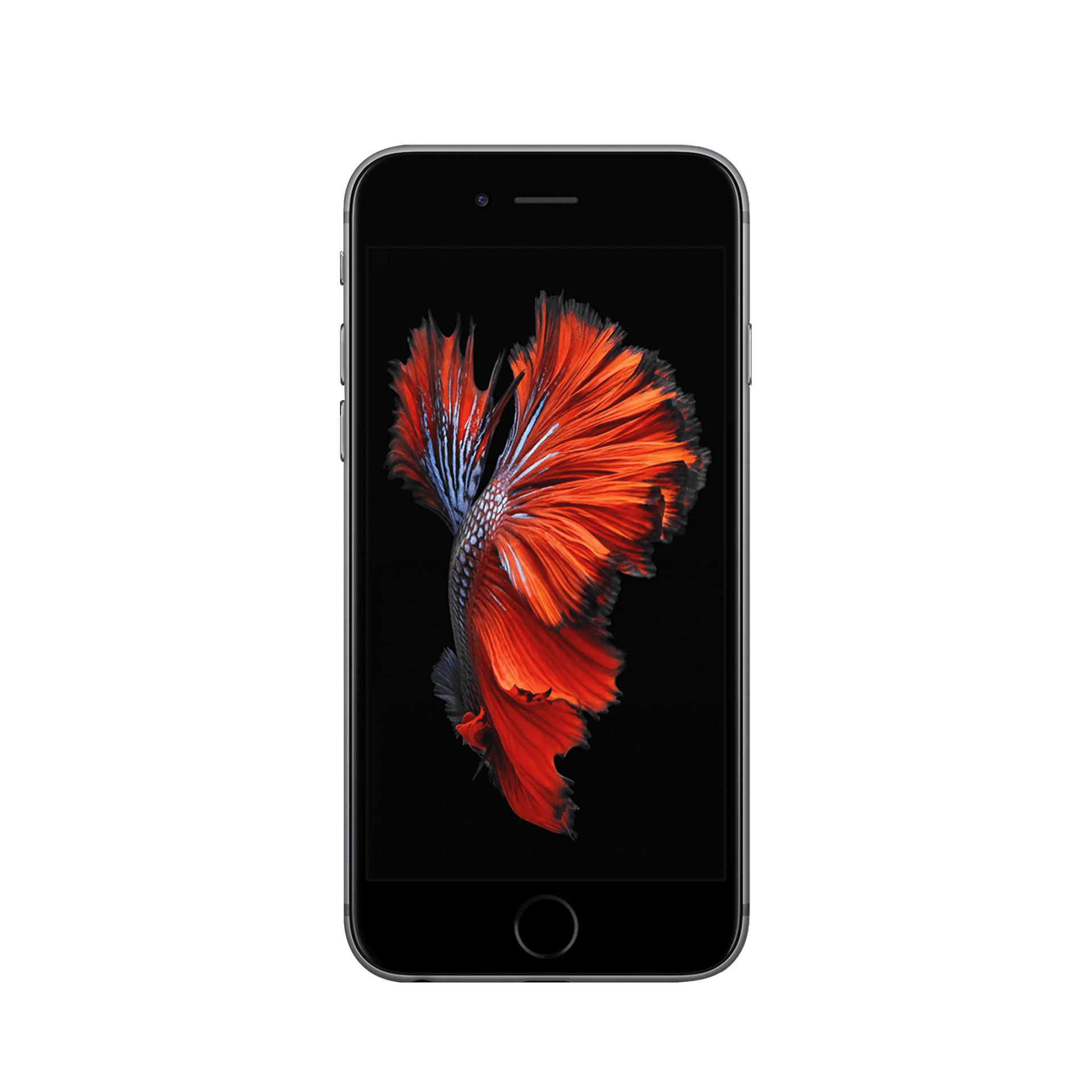 Apple iPhone 6S - 16 GB - Uzay Grisi